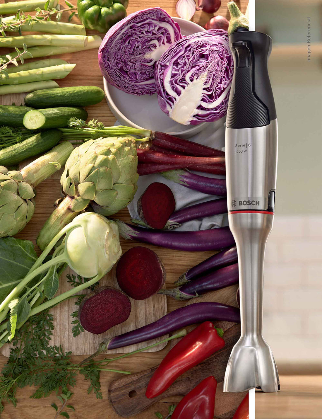 Batidora de Inmersión Ergo Master Serie 6